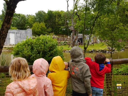 Sortie scolaire à planète sauvage pour les MS